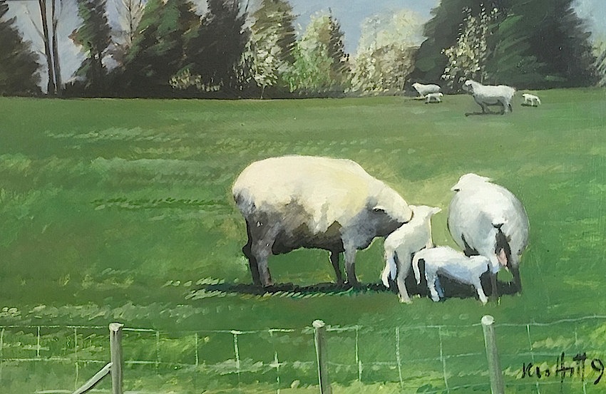 Trevor  Moffitt | Canterbury Paddocks |  Sheep Paddock  No 1 |1991 |oil on board| McAtamney Gallery and Design Store | Geraldine NZ